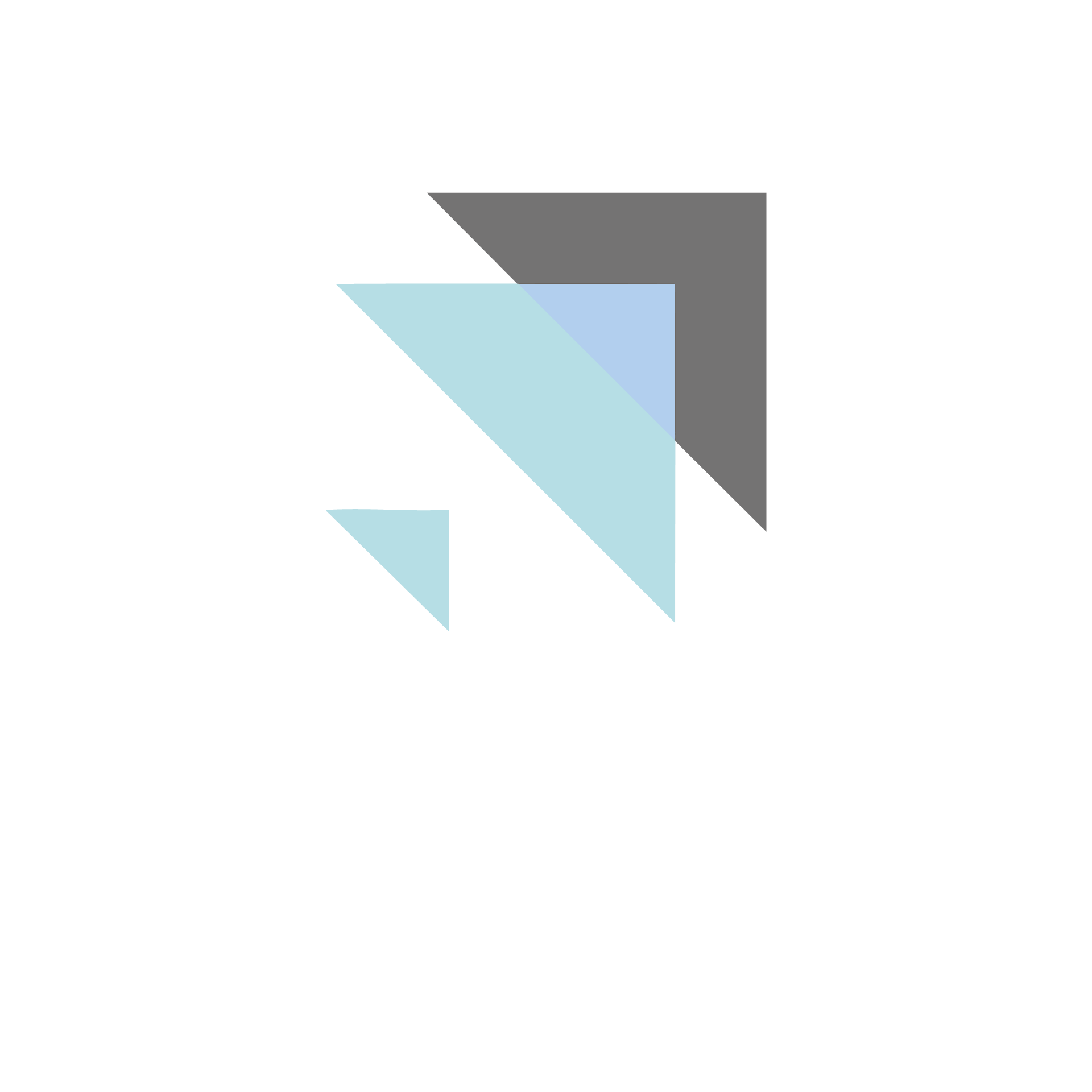 ID Deluxe Logo weiss