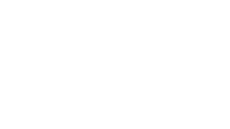 AMTS Logo Schweng Gruppe weiß_1