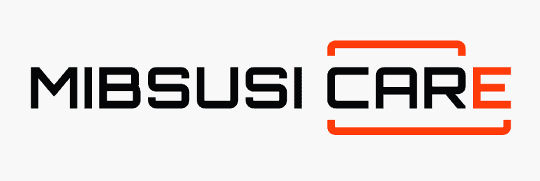 Logo Mibsusi Car Care
